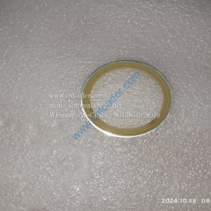 XCMG part dust ring 803276765