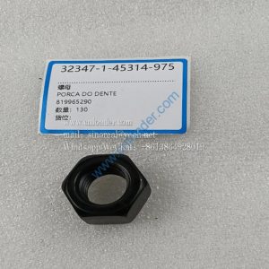XCMG part nut 819965290