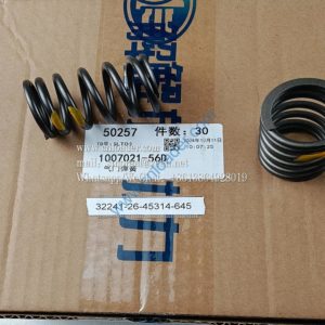 Valve Spring 1007021-56D