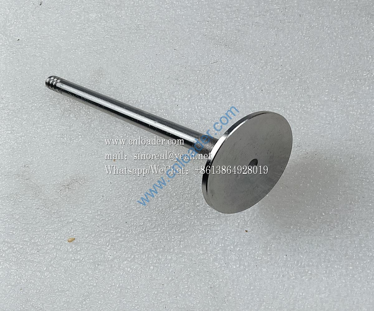 860153443 Intake valve F04284042 - Image 2