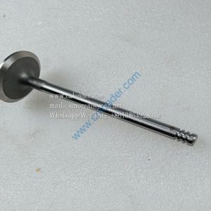 860153443 Intake valve F04284042