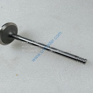 860153443 Intake valve F04284042