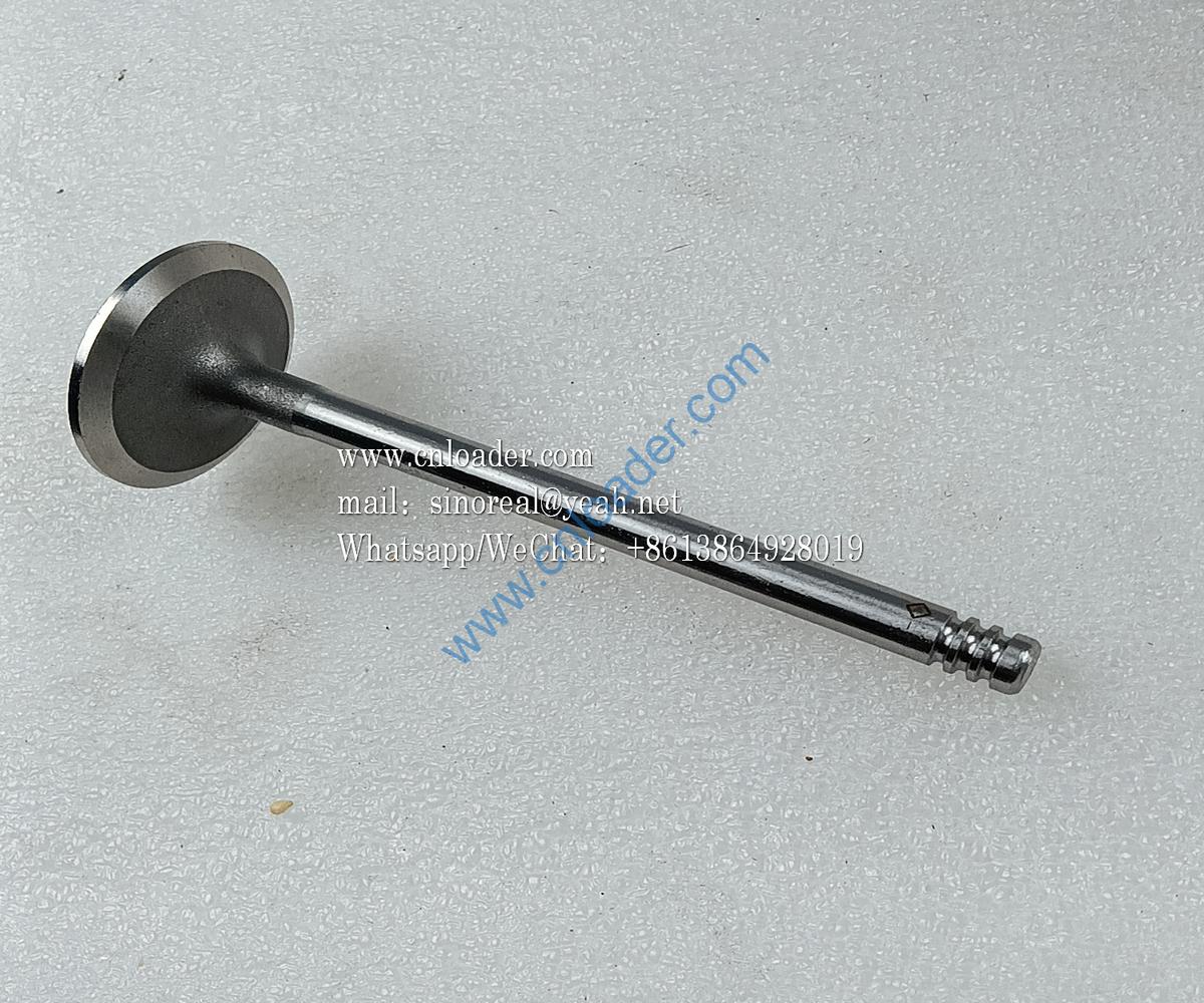 860153443 Intake valve F04284042