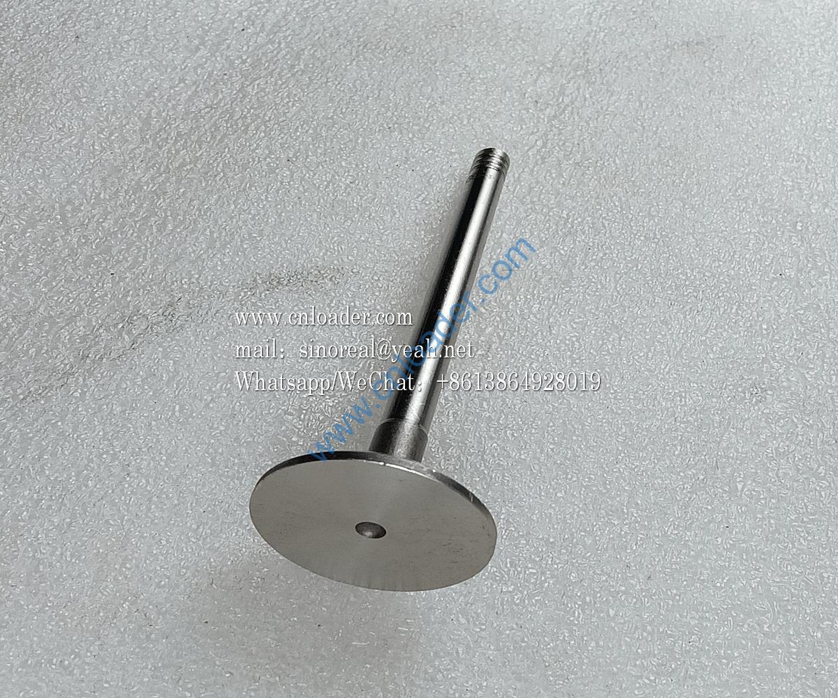 860153444 Exhaust valve F04284043 - Image 2