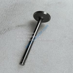 860153444 Exhaust valve F04284043