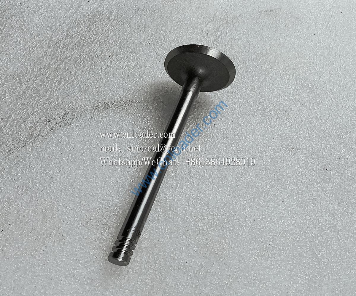 860153444 Exhaust valve F04284043