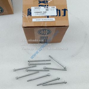 860153498 Hexagon head flange bolt 1008602-56D