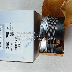 Piston ring 1004025A36E