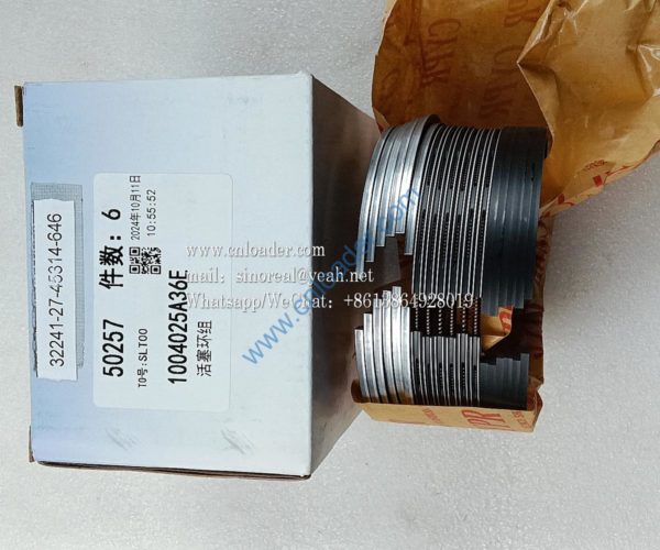 Piston ring  1004025A36E