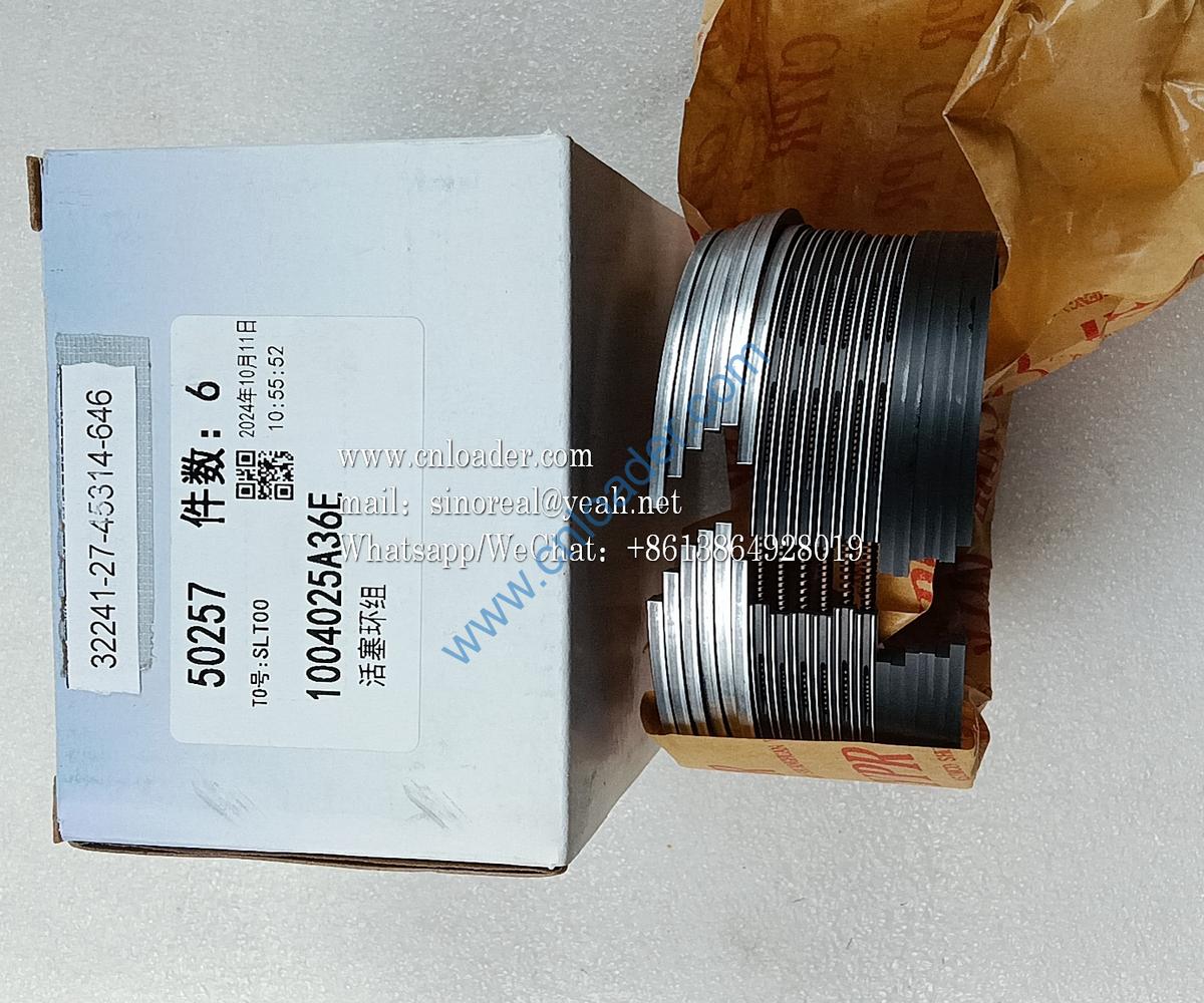 Piston ring 1004025A36E