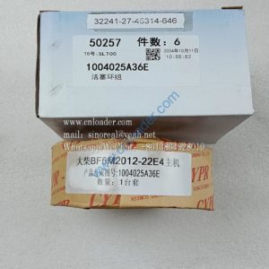 Piston ring set 860161940