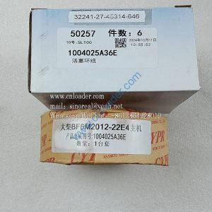Piston ring set 860161940