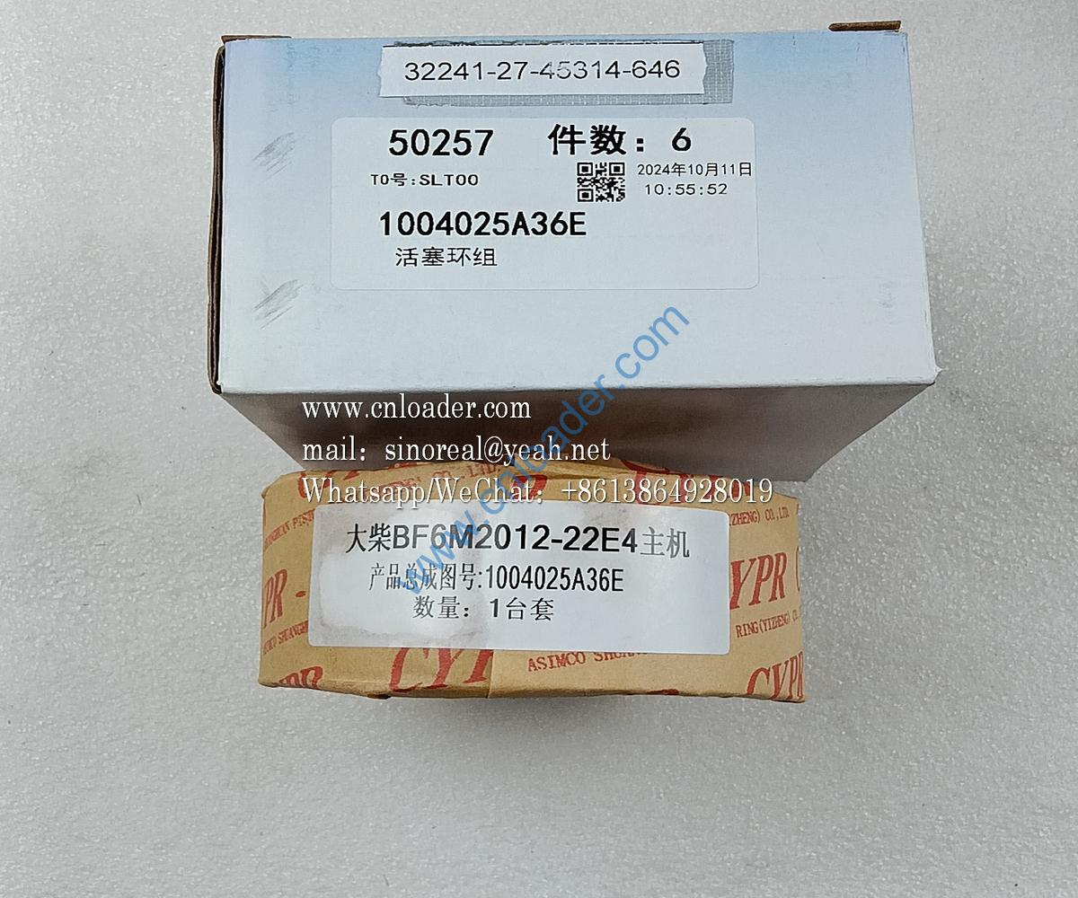 Piston ring set 860161940