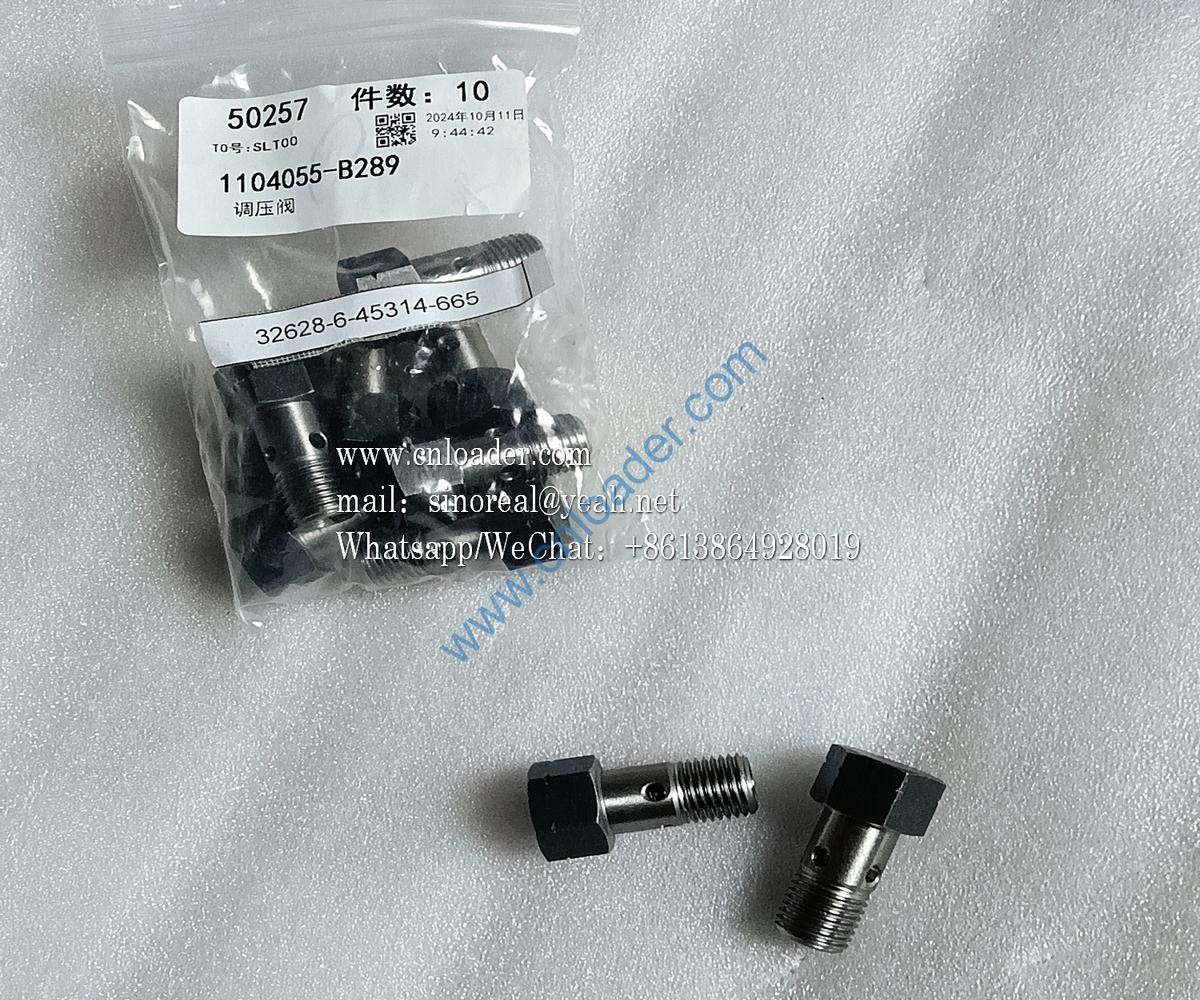 FAW Dachai Deutz parts pressure regulating valve 1104055-B289