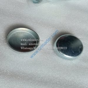 860509953 Bowl plug H 2860 A45 1002623-52D