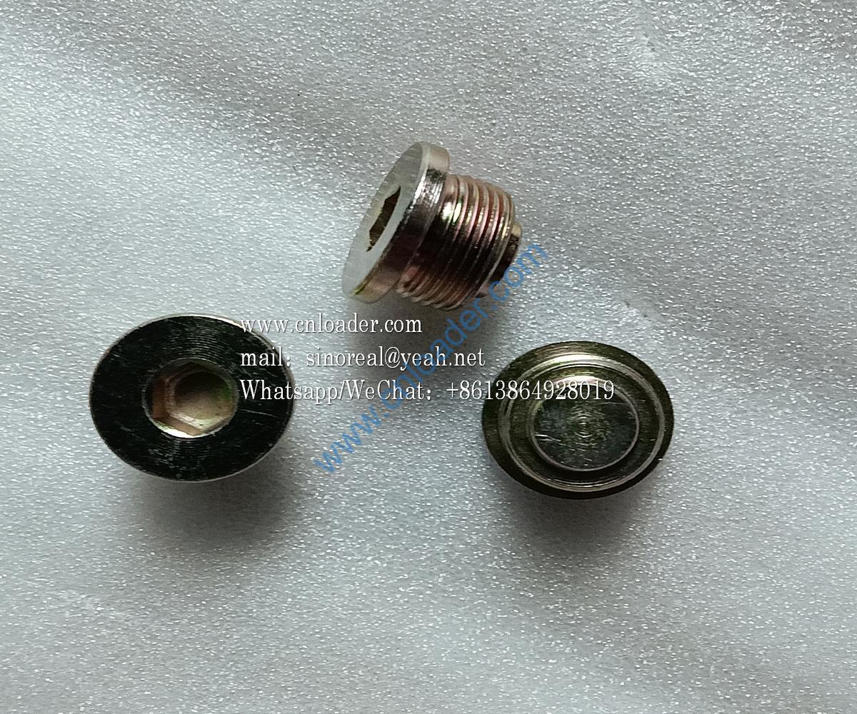 860509955 Screw plug M22X1.5 F04292706