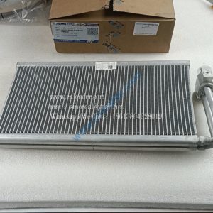 AXGAY40089 Evaporator core and valve assembly 860152439