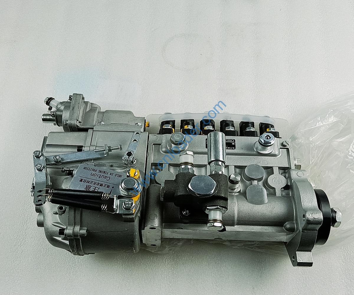 fuel injection pump BH6PA110-1709661841 S00005172+01