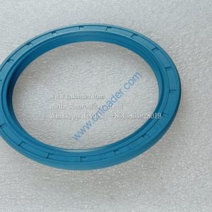 CR HMSA10 Oil seal FB80×100×10 803164330