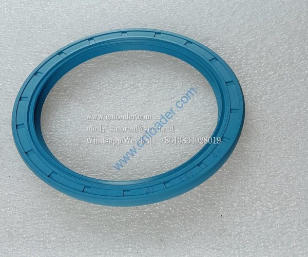 CR HMSA10 Oil seal FB80×100×10 803164330