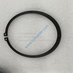 GB/T894.1 retaining ring 860101074 104050004