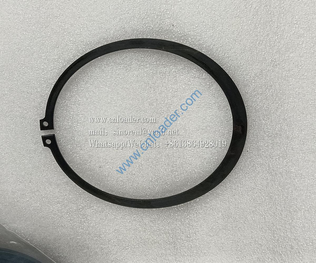 GB/T894.1 retaining ring 860101074 104050004
