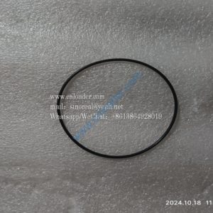 O-ring 801139982 100X2.55