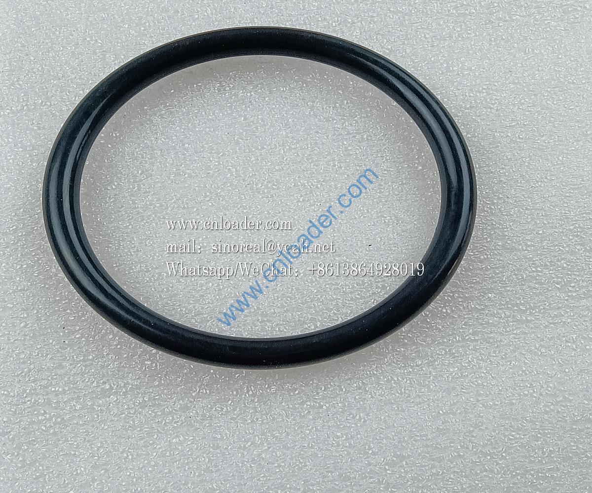 O-ring LGB308-88x8 4043000069