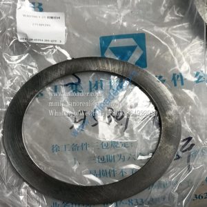 WA1180.1-21 Adjusting shim 275301291