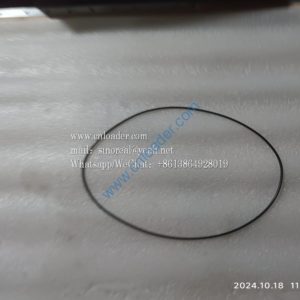 XCMG parts WA2120.3-9 O-ring 256×3.55 275301444