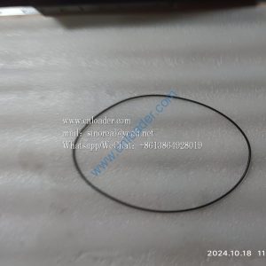XCMG parts WA2120.3-9 O-ring 256×3.55 275301444
