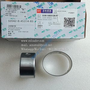 Camshaft Bushing 4110001026002 D30-1002120
