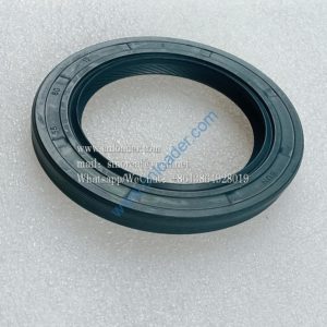 Front oil seal HA302 4110003492045 (55x80x12)
