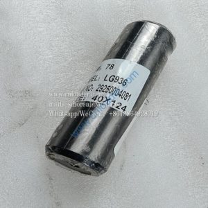 Front steering pin 29250004081