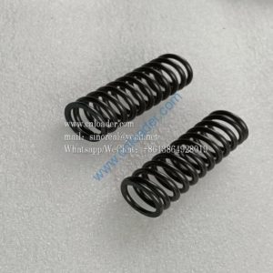 Pressure spring 0732041352 4110000076254