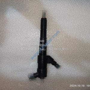 Injector assembly HA10000777 4110003492126
