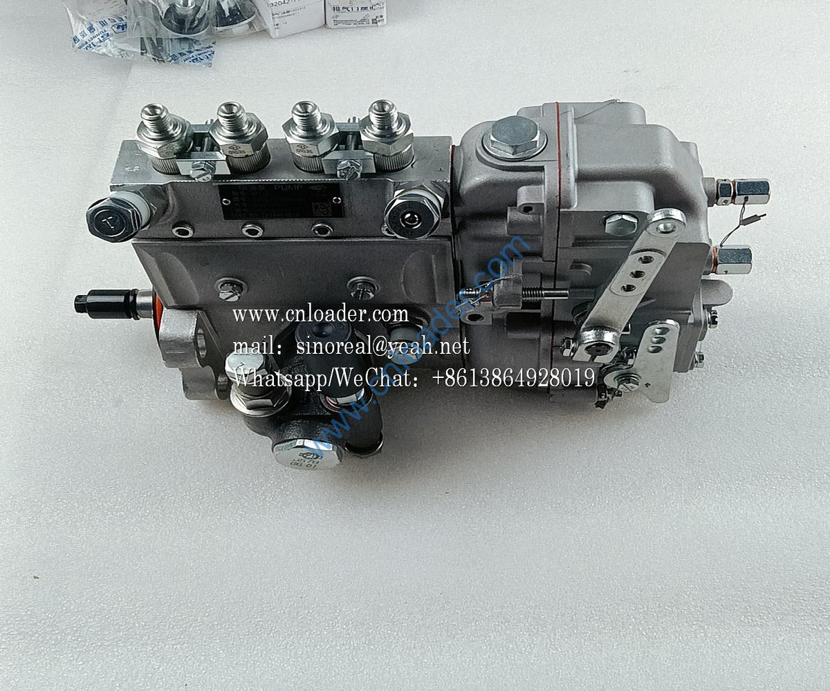 Fuel injection pump D7002-1111100A-493 4110000560195 D7002-1111050