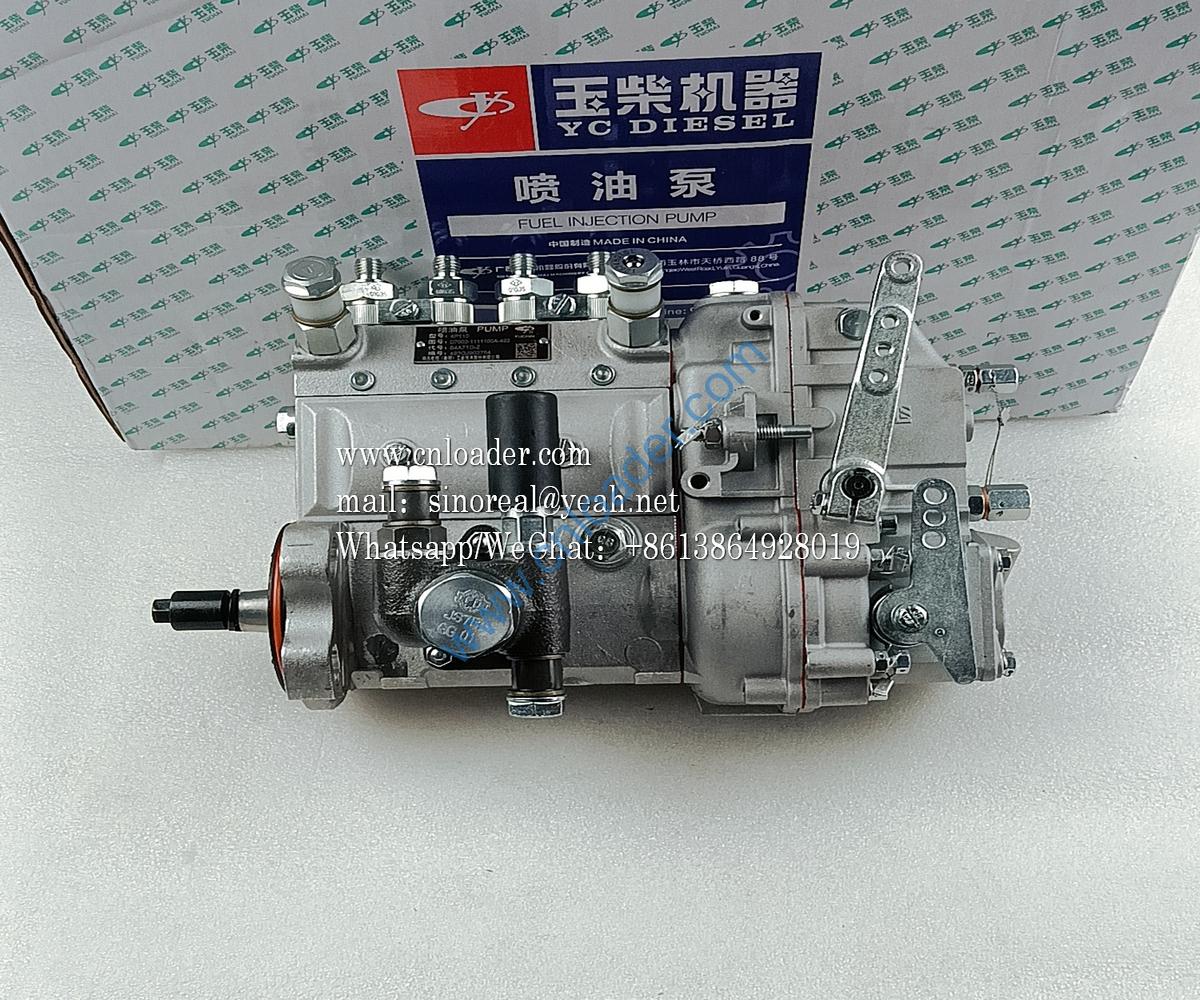 Fuel injection pump D7002-1111100A-493 4110000560195 D7002-1111050 - Image 2