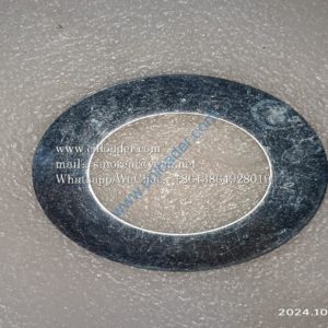 Gasket 60X100X2 4043000126