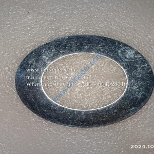 Gasket 60X100X2 4043000126