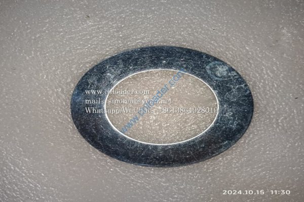 Gasket 60X100X2 4043000126