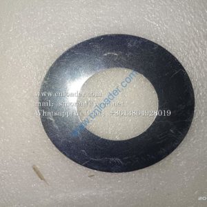 Gasket LGB303-50x100x1 4043000067