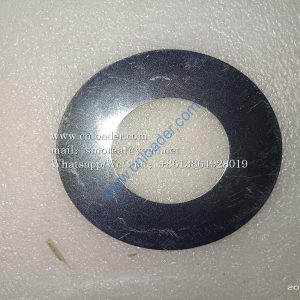 Gasket LGB303-50x100x1 4043000067