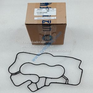FAW Dachai Deutz parts seal 1013057A56D (4254803)