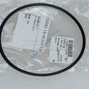 Sealing ring HA0171 4110003273013