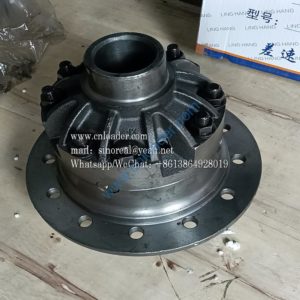 Differential assembly 321F 860115435 Z00360391