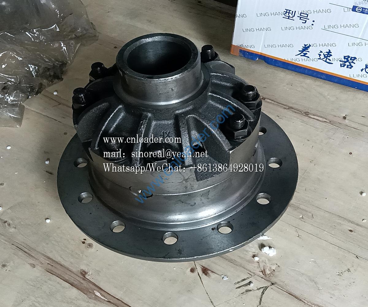 Differential assembly 321F 860115435 Z00360391