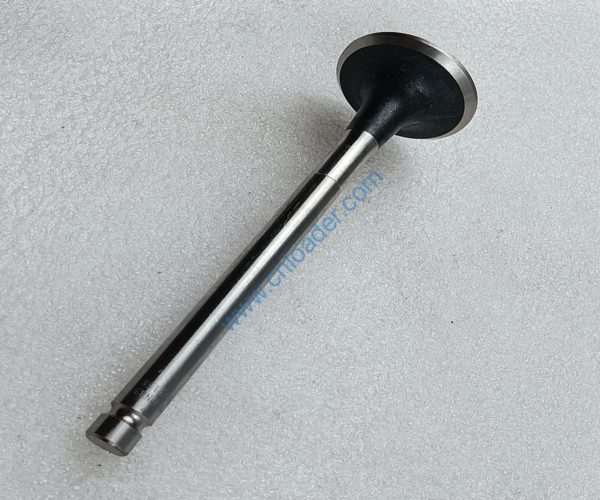 YUNNEI engine part exhaust valve HA03158 4100QB-03-001A 4110003273161