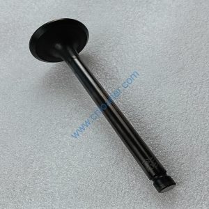 YUNNEI engine part exhaust valve HA03284 YN33-03-001