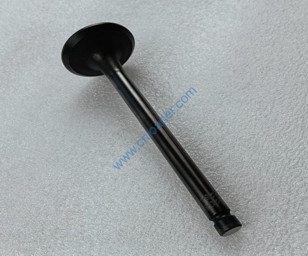 YUNNEI engine part exhaust valve HA03284 YN33-03-001